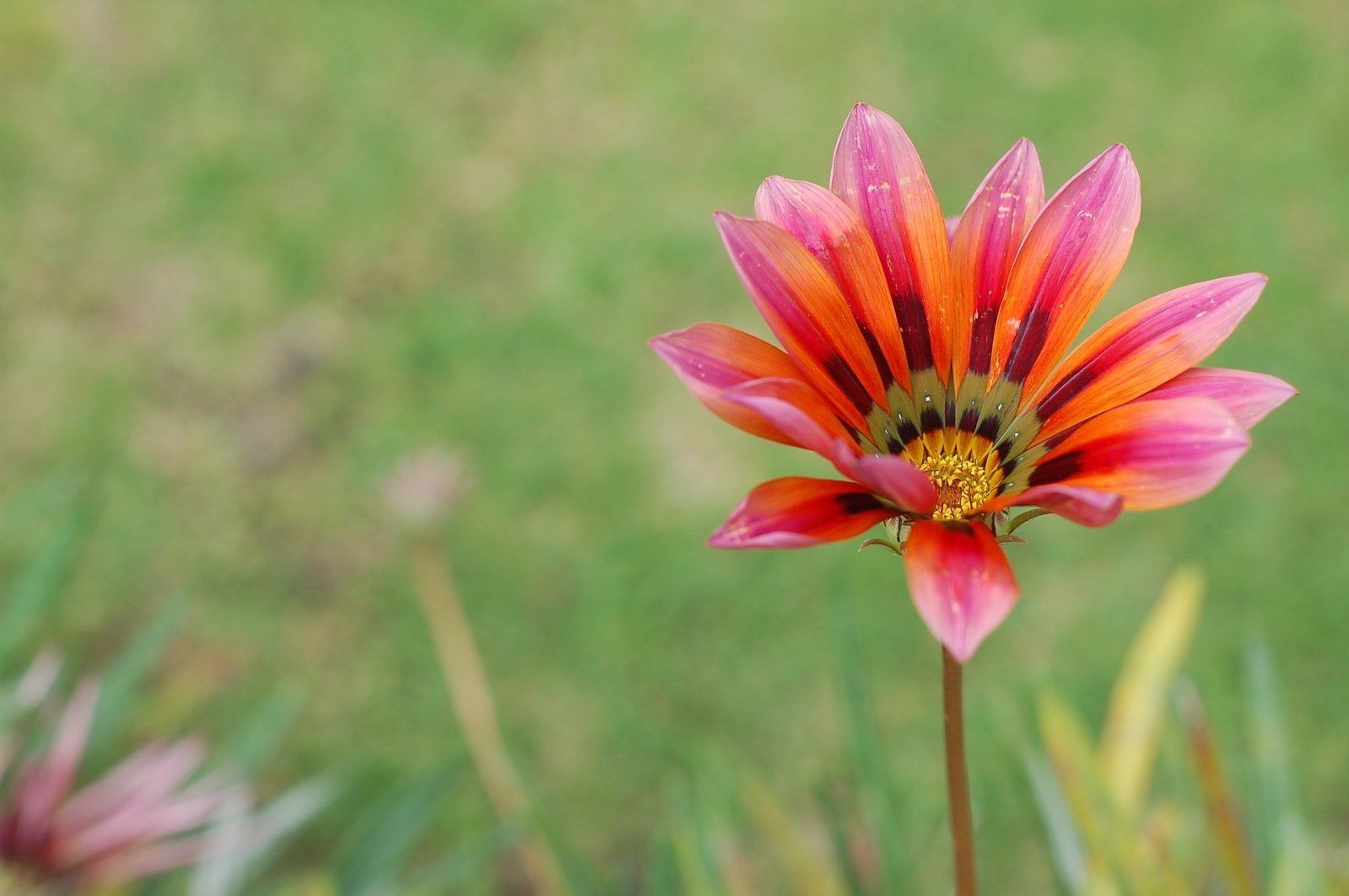 Avoid Losing Sleep during Allergy Season | Urban Wool