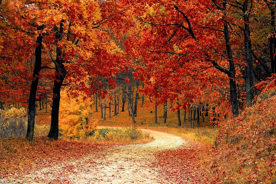 Strange things happen to your mind and body at this time of year | Urban Wool